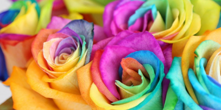 Why Rainbow Roses Are The Perfect Gift | Blossoming Gifts