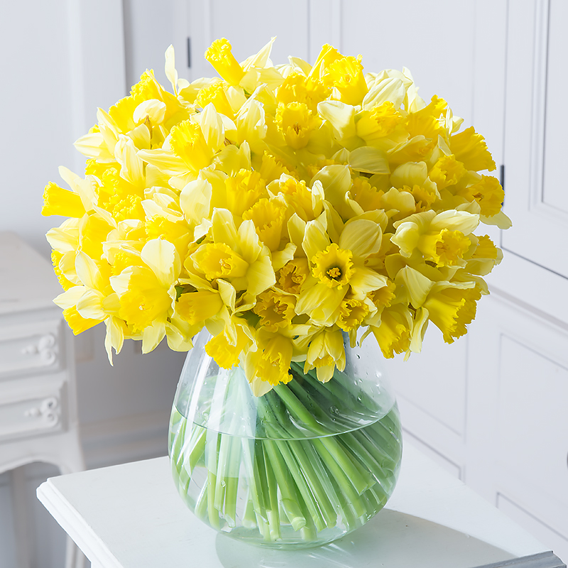 Yellow Flower Bouquet - 100 Best English Daffodils Daffodils & Daffodil - Next Day Flower Delivery UK - Blossoming Gifts