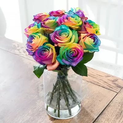 Rainbow Roses Delivery Roses Delivery | Send Roses Online With Next Day Delivery