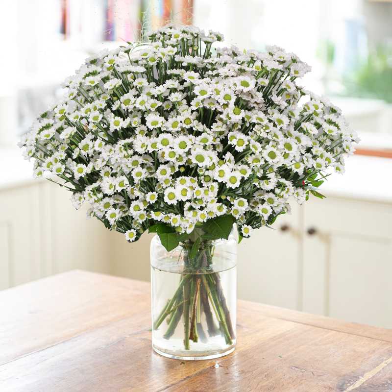 Affordable Flower Bouquet - Daisy - Next Day Flower Delivery UK - Blossoming Gifts
